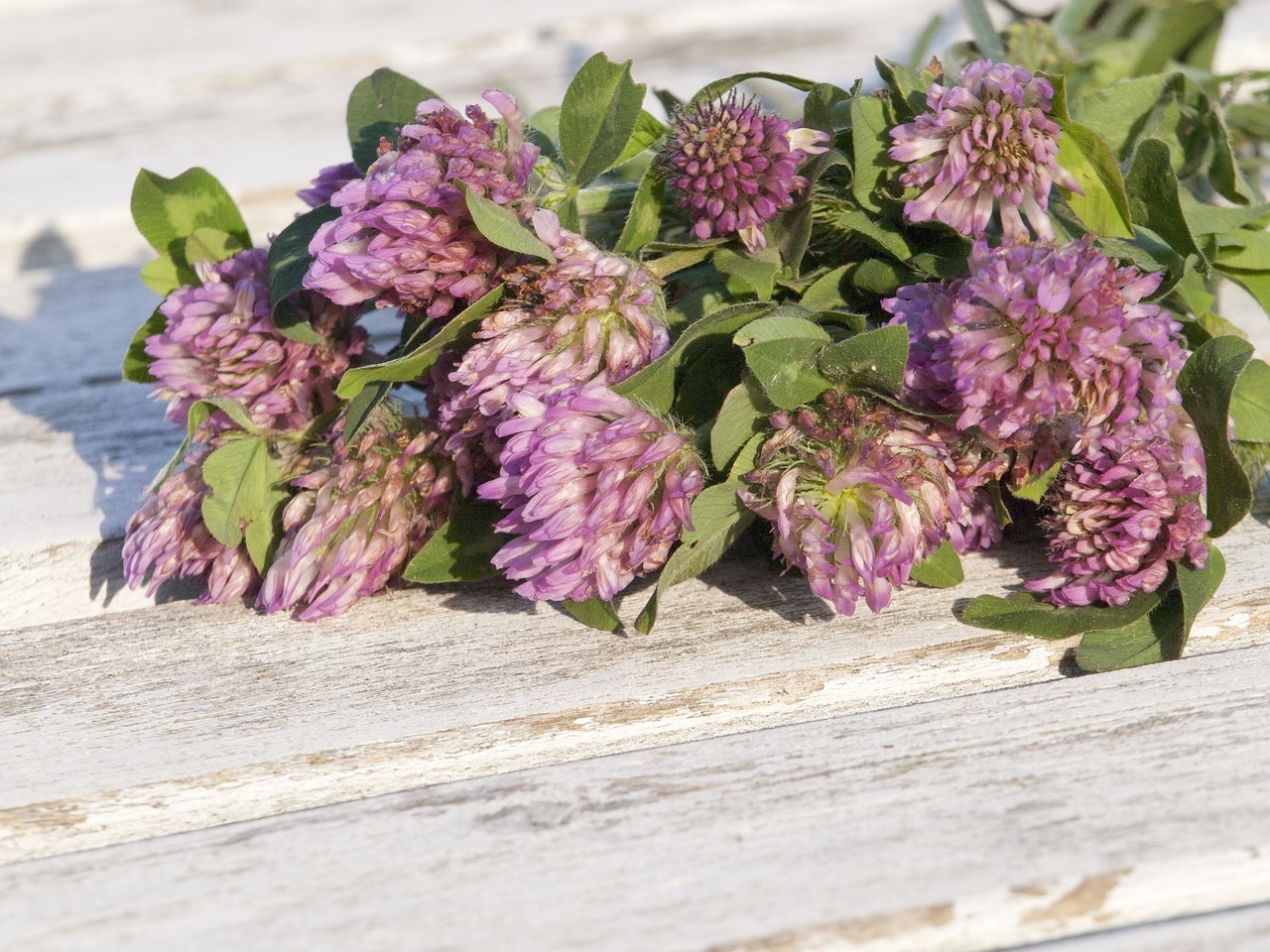 Mehr über den Artikel erfahren Die Wechseljahre