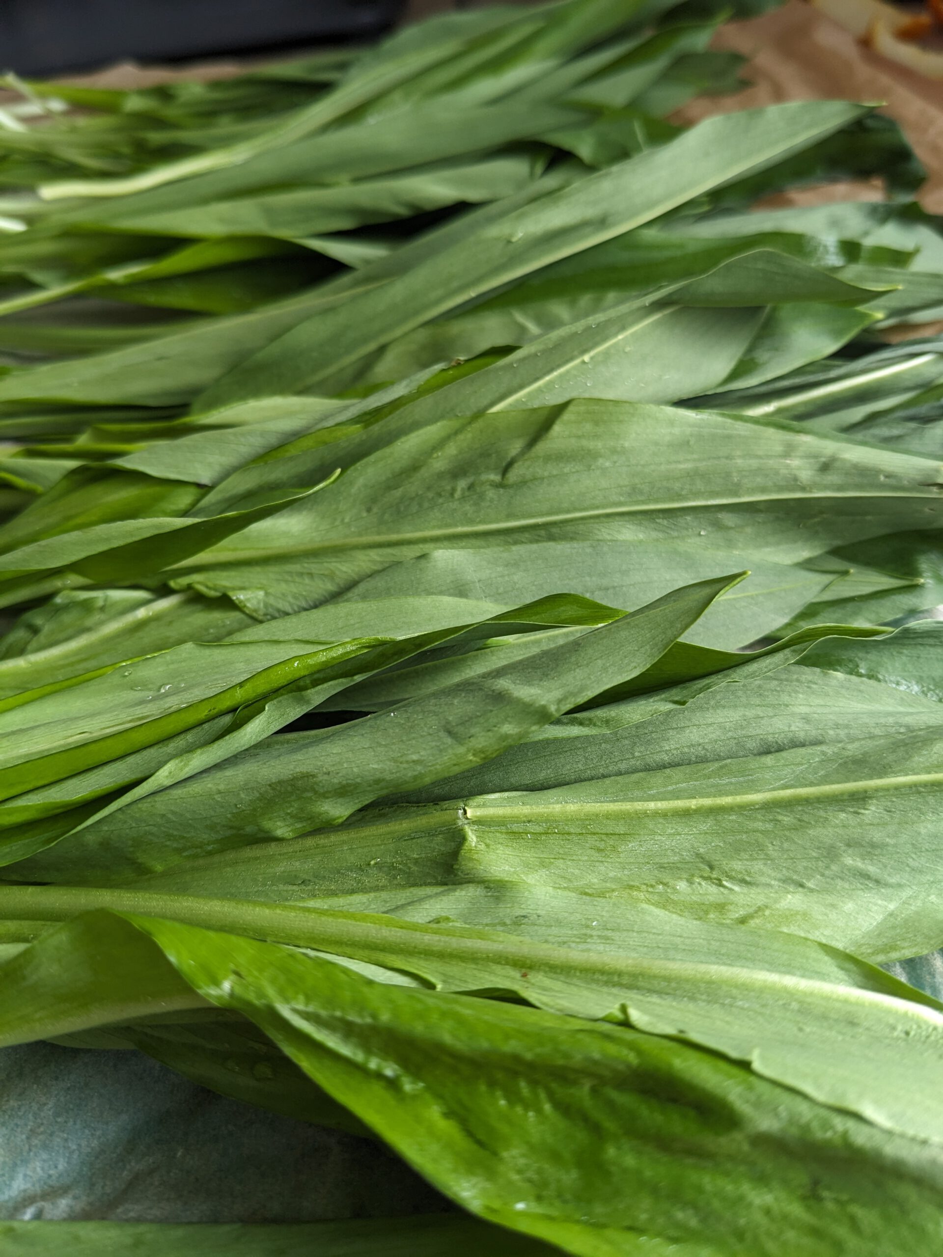 Mehr über den Artikel erfahren Bärlauch-Rub              