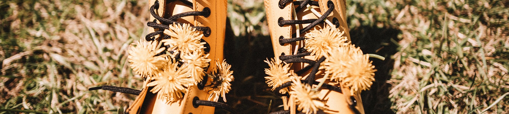 Mehr über den Artikel erfahren Dopamin und Glücksgefühle